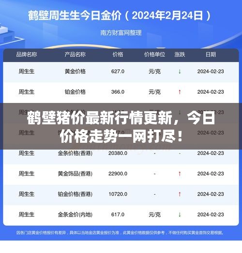 鶴壁豬價最新行情更新，今日價格走勢一網打盡！
