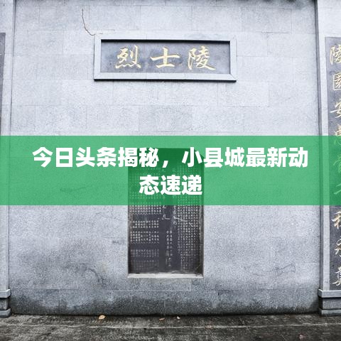 2025年2月 第7頁