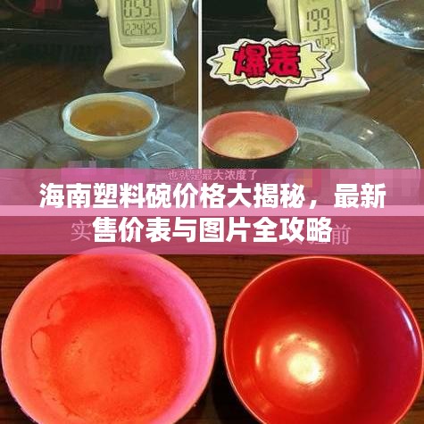 海南塑料碗價(jià)格大揭秘，最新售價(jià)表與圖片全攻略
