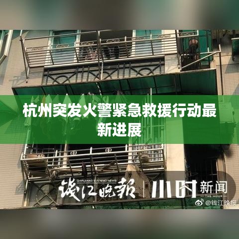 杭州突發(fā)火警緊急救援行動最新進展
