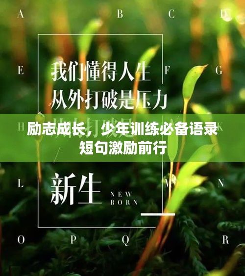 勵志成長，少年訓練必備語錄短句激勵前行