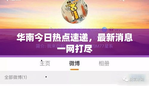 華南今日熱點速遞，最新消息一網打盡