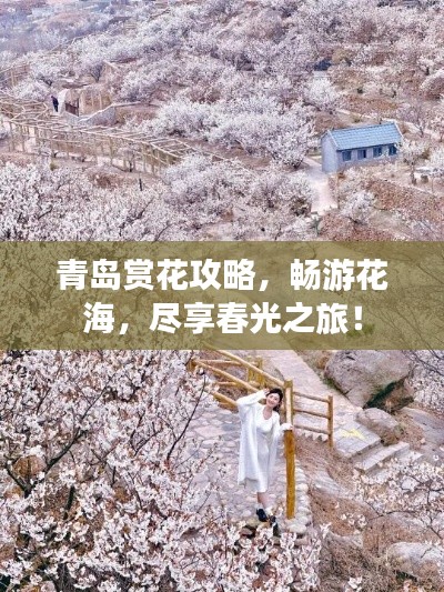 青島賞花攻略，暢游花海，盡享春光之旅！