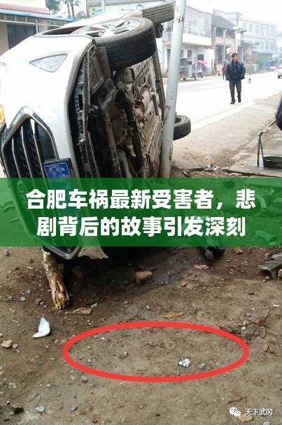 合肥車禍最新受害者，悲劇背后的故事引發深刻反思