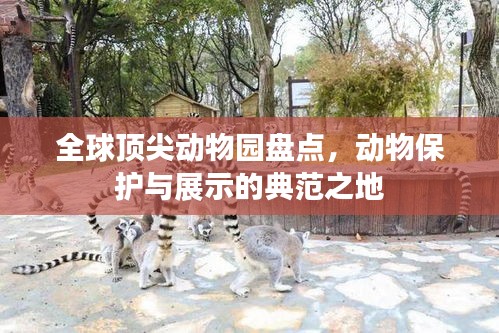 全球頂尖動物園盤點，動物保護與展示的典范之地