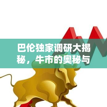 巴倫獨(dú)家調(diào)研大揭秘，牛市的奧秘與真相探索