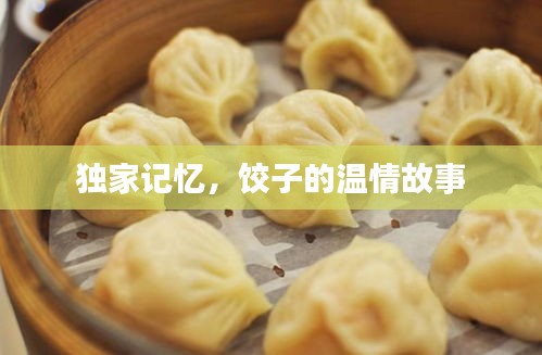 獨(dú)家記憶，餃子的溫情故事