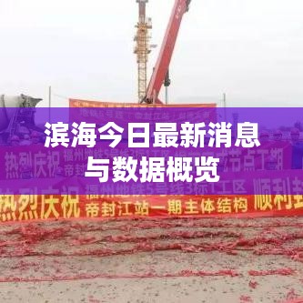 濱海今日最新消息與數(shù)據(jù)概覽