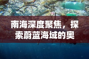 南海深度聚焦，探索蔚藍海域的奧秘