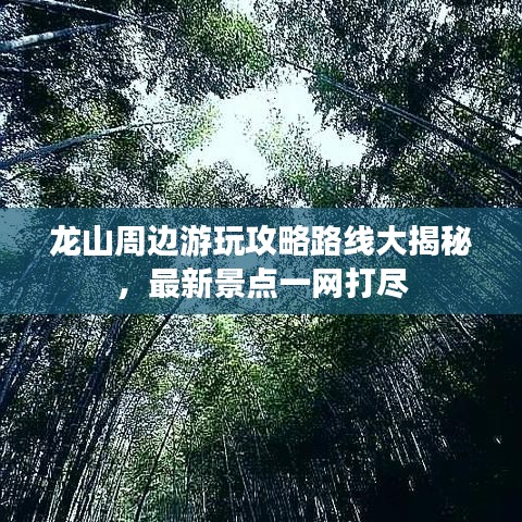 龍山周邊游玩攻略路線大揭秘，最新景點一網打盡