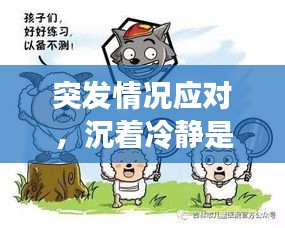 突發情況應對，沉著冷靜是關鍵