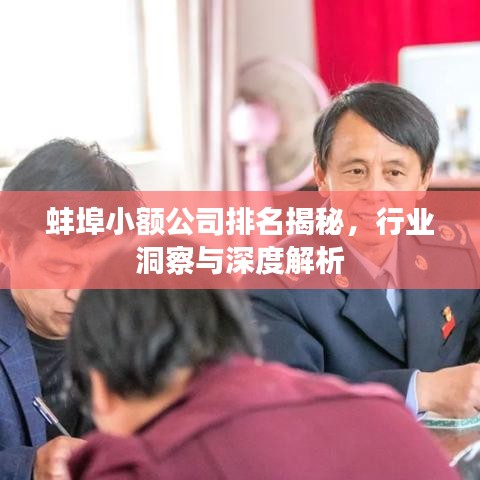 蚌埠小額公司排名揭秘，行業(yè)洞察與深度解析