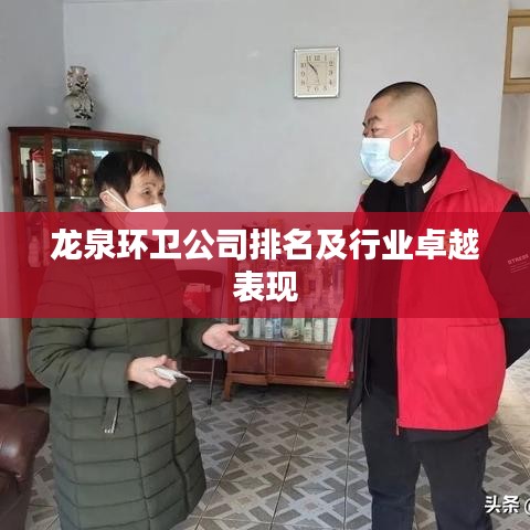 龍泉環衛公司排名及行業卓越表現