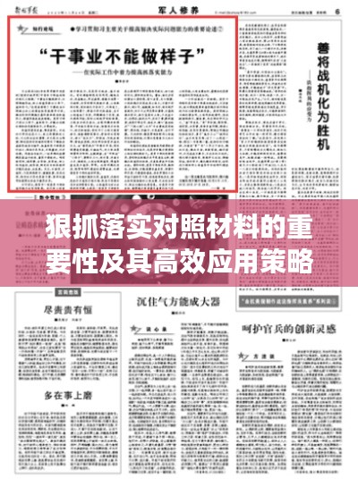 狠抓落實對照材料的重要性及其高效應(yīng)用策略解析
