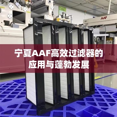 寧夏AAF高效過濾器的應(yīng)用與蓬勃發(fā)展