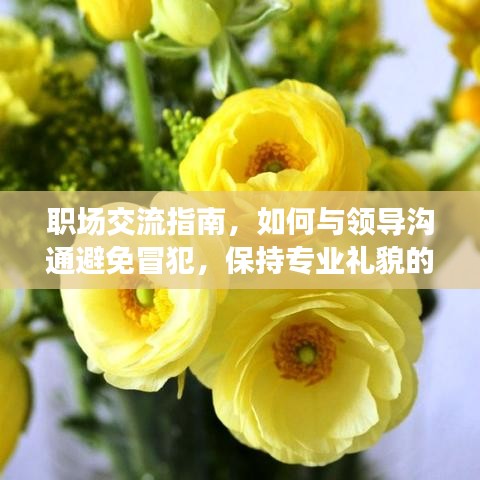 職場交流指南，如何與領導溝通避免冒犯，保持專業禮貌的表達方式