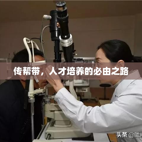 傳幫帶，人才培養(yǎng)的必由之路