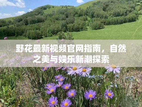 不恥下問