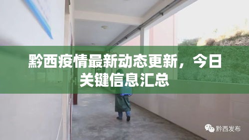 黔西疫情最新動(dòng)態(tài)更新，今日關(guān)鍵信息匯總