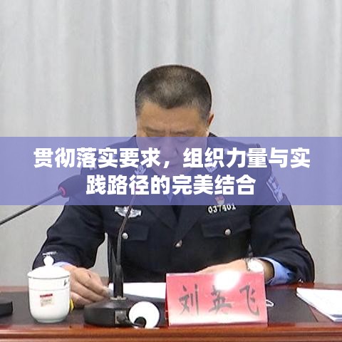 貫徹落實要求，組織力量與實踐路徑的完美結合