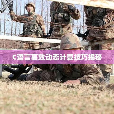 C語言高效動(dòng)態(tài)計(jì)算技巧揭秘
