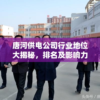 唐河供電公司行業地位大揭秘，排名及影響力解析
