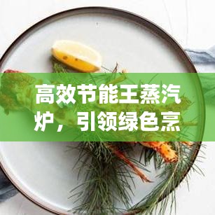 高效節(jié)能王蒸汽爐，引領(lǐng)綠色烹飪新時代，享受健康烹飪新體驗