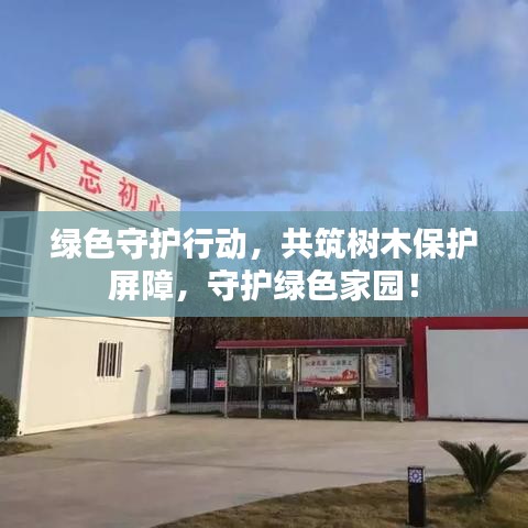 綠色守護行動，共筑樹木保護屏障，守護綠色家園！