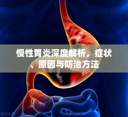 推襟送抱