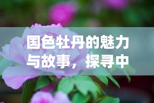 新聞動態 第29頁