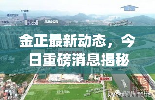 金正最新動態(tài)，今日重磅消息揭秘！