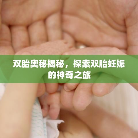 雙胎奧秘揭秘，探索雙胎妊娠的神奇之旅