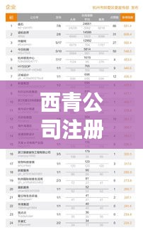 西青公司注冊榜單及影響力解析