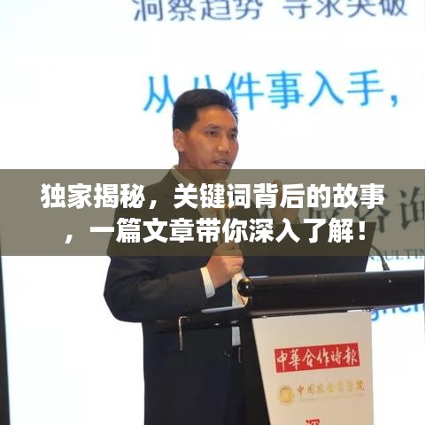 獨家揭秘，關鍵詞背后的故事，一篇文章帶你深入了解！