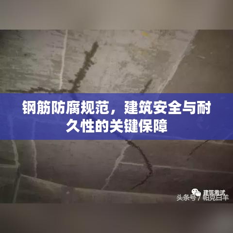 鋼筋防腐規(guī)范，建筑安全與耐久性的關(guān)鍵保障