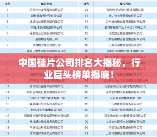 中國(guó)硅片公司排名大揭秘，行業(yè)巨頭榜單揭曉！