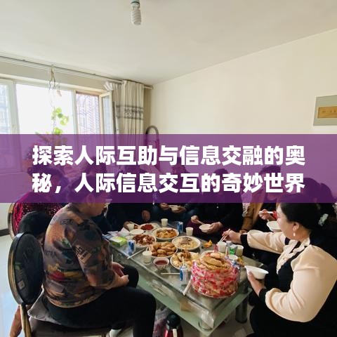 探索人際互助與信息交融的奧秘，人際信息交互的奇妙世界