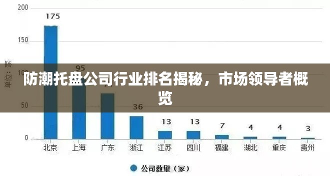 防潮托盤公司行業排名揭秘，市場領導者概覽