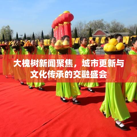 大槐樹新聞聚焦，城市更新與文化傳承的交融盛會