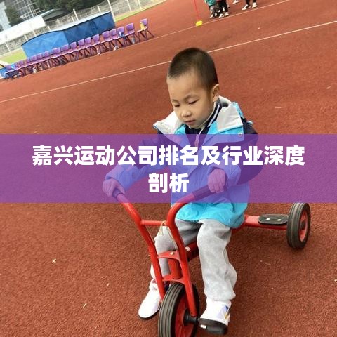 嘉興運動公司排名及行業深度剖析