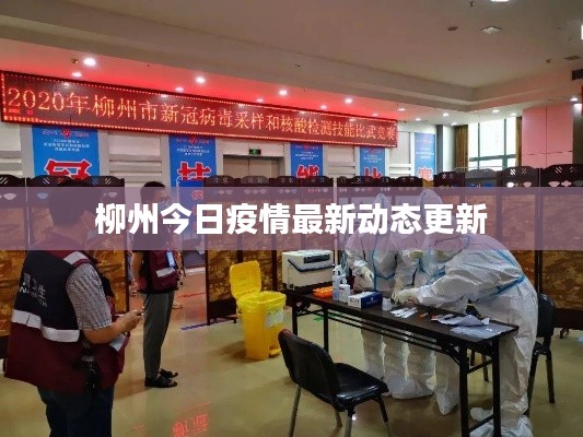 柳州今日疫情最新動態更新