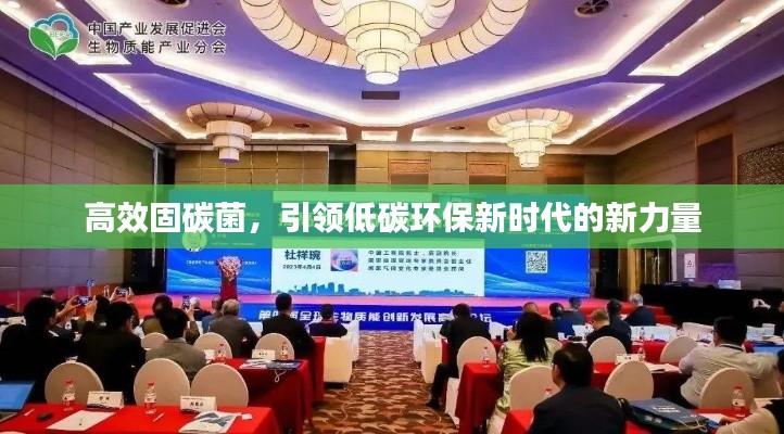 高效固碳菌，引領(lǐng)低碳環(huán)保新時(shí)代的新力量