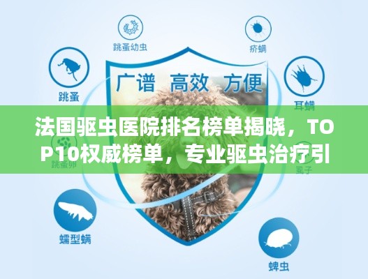 法國驅(qū)蟲醫(yī)院排名榜單揭曉，TOP10權(quán)威榜單，專業(yè)驅(qū)蟲治療引領(lǐng)健康新生活！