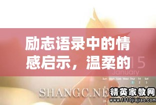鳥飛兔走