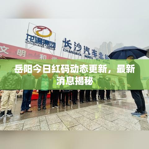岳陽今日紅碼動態更新，最新消息揭秘