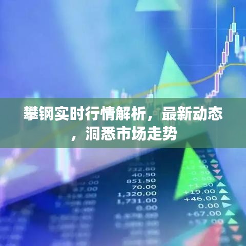 攀鋼實(shí)時行情解析，最新動態(tài)，洞悉市場走勢