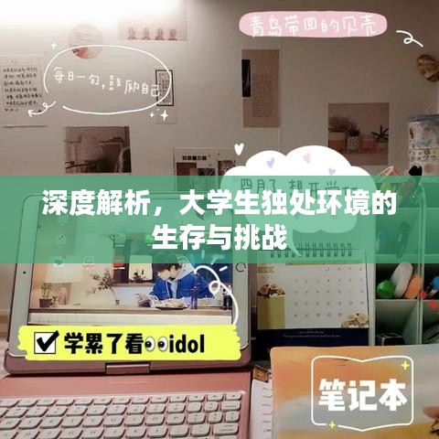 深度解析，大學(xué)生獨處環(huán)境的生存與挑戰(zhàn)