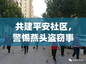 共建平安社區，警惕燕頭盜竊事件，加強防范宣傳，守護家園安全
