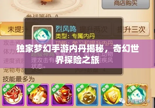 獨家夢幻手游內丹揭秘，奇幻世界探險之旅