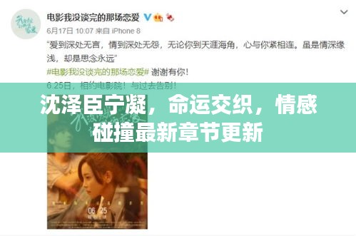 沈澤臣寧凝，命運交織，情感碰撞最新章節更新